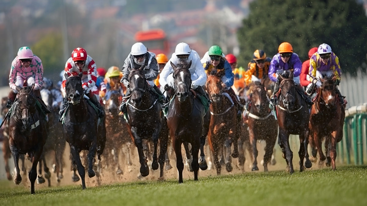 Outils et plateformes turf : suivez les courses en direct et pariez plus intelligemment