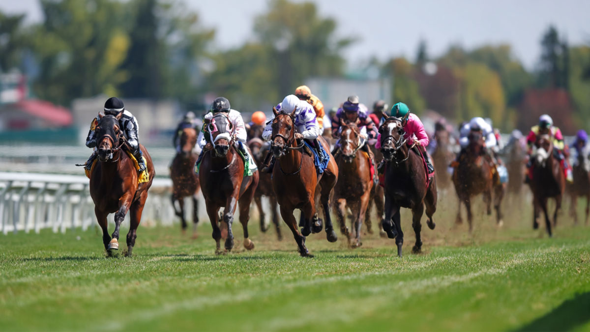 Débuter dans les paris hippiques : stratégies de base pour gagner au turf